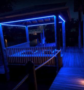 Elite Christmas Lighting Image